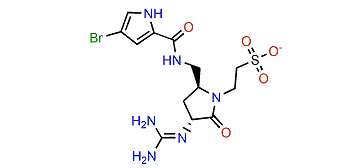 2-Debromonagelamide U